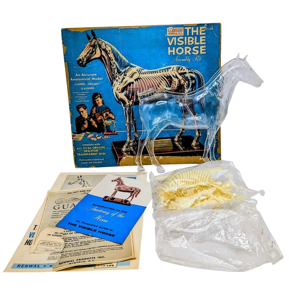 1961 Renwal The Visible Horse Assembly Kit - Incomplete